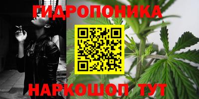 ALPHA PVP Кандалакша