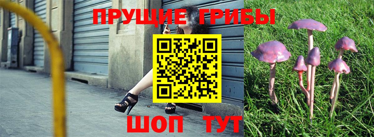 Дальнереченск  Псилоцибиновые грибы GOLDEN TEACHER  Вход с VPN  Псилоцибиновые грибы мухоморы 