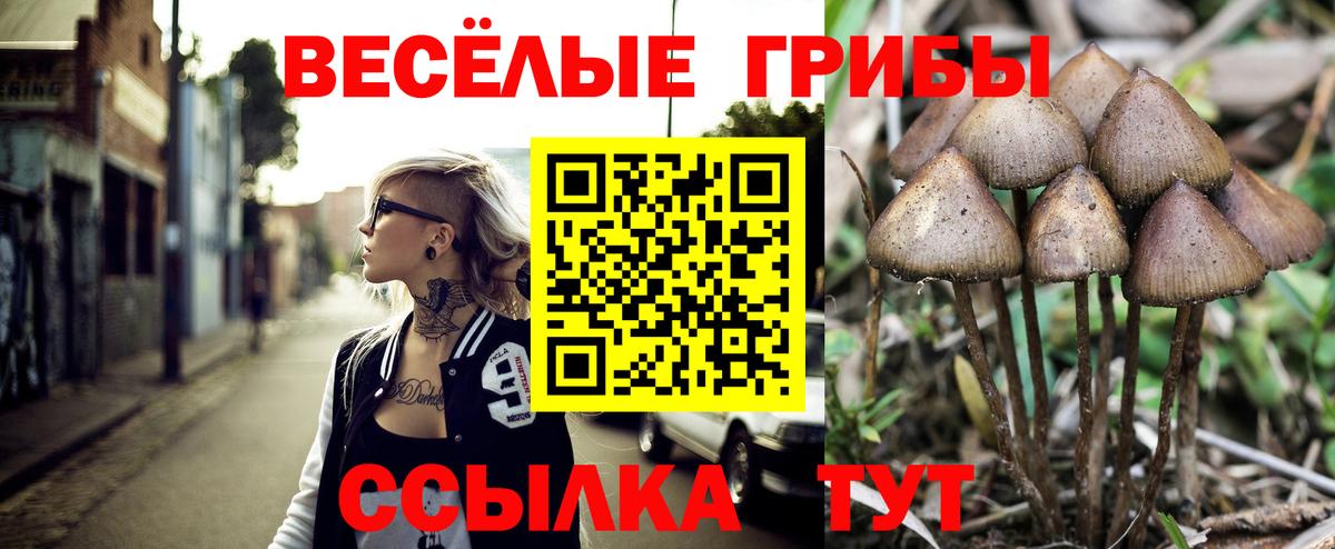 Галлюциногенные грибы Magic Shrooms Дальнереченск